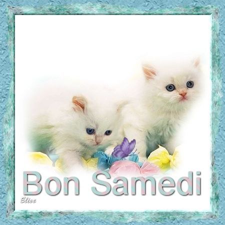 Bon Samedi