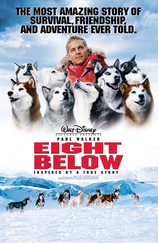 Eight Below