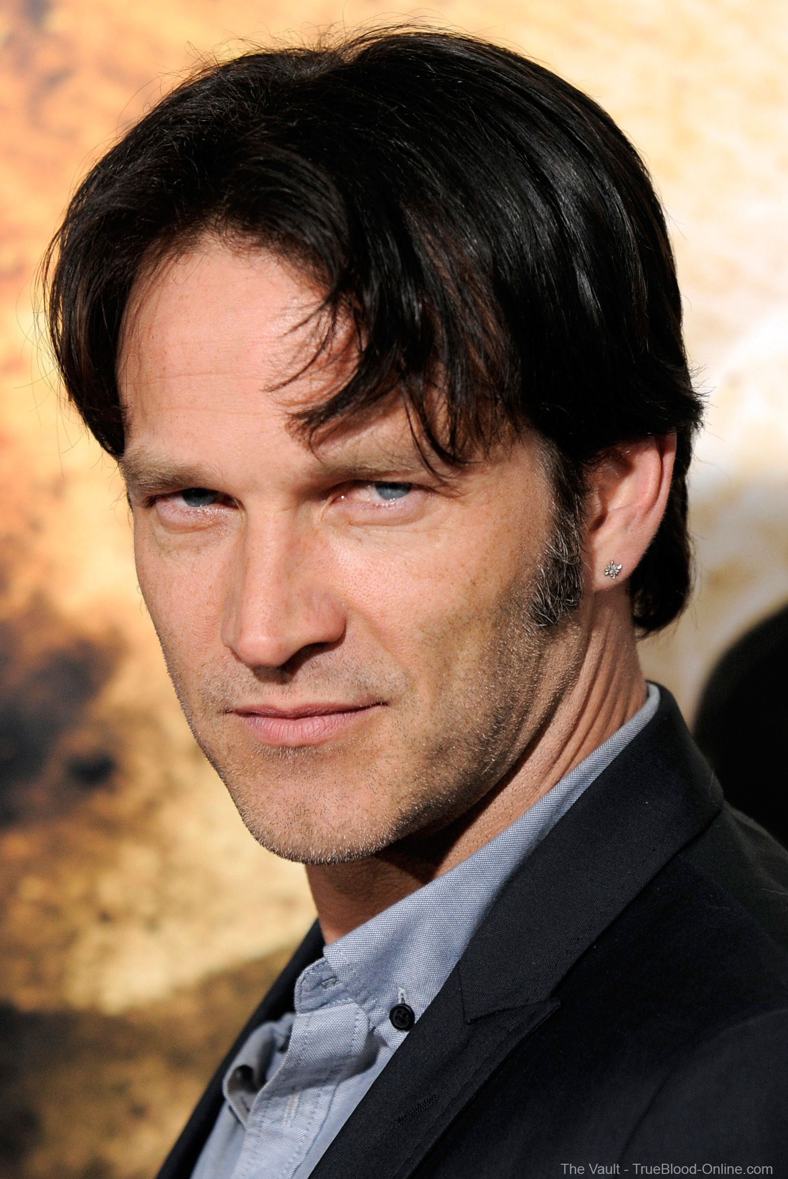 Stephen Moyer - Gallery Photo Colection