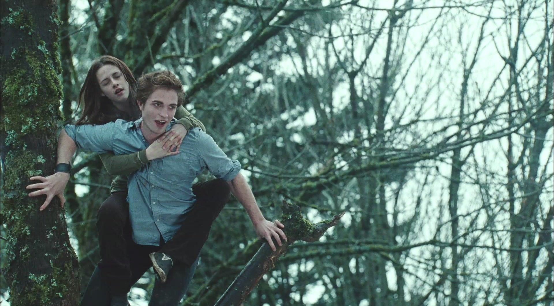 Twilight - Chapitre 1 : Fascination