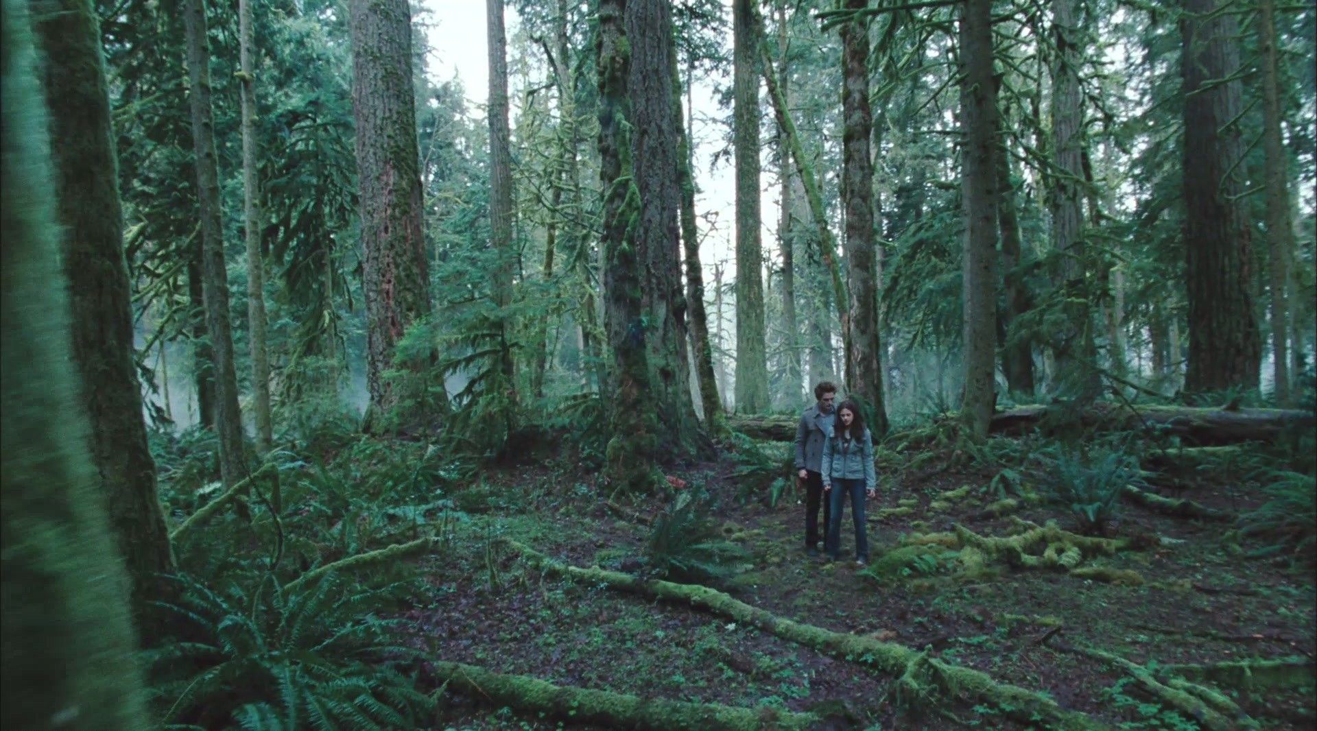 Twilight Chapitre 1 Fascination